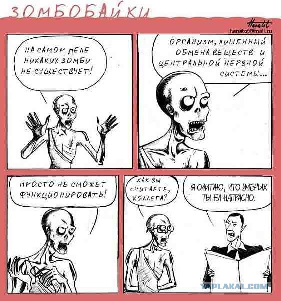 Абсурдный юмор ч. 23