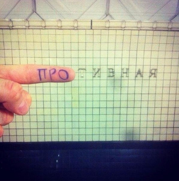 Подборка интересных и веселых фото