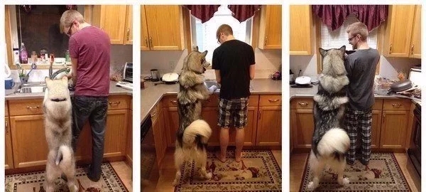 Интересные и веселые картинки