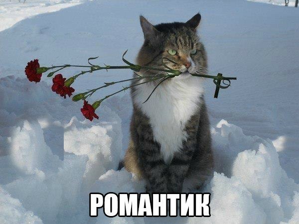 Подборка прикольных фото