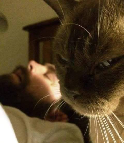 Подборка интересных и веселых фото