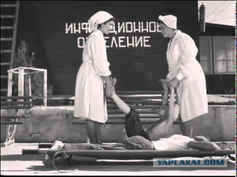 Обезьяны-санитары