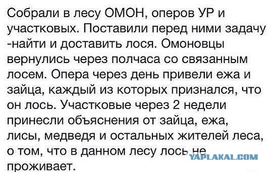 Весёлые картинки