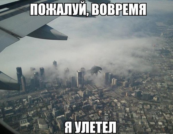 Весёлые картинки