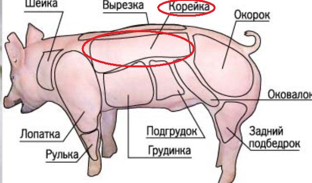 Азиатские девушки: в какой стране они самые красивые?