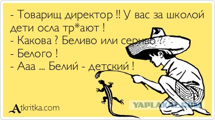 Люди возмущены учениями с "шахидами" в колледже Ленобласти