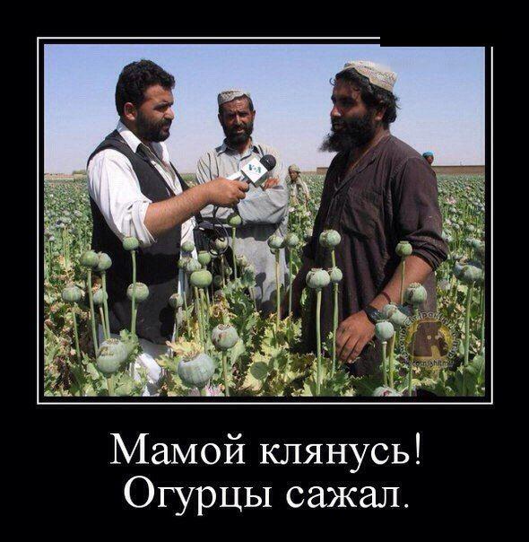 Расслабим глазки?