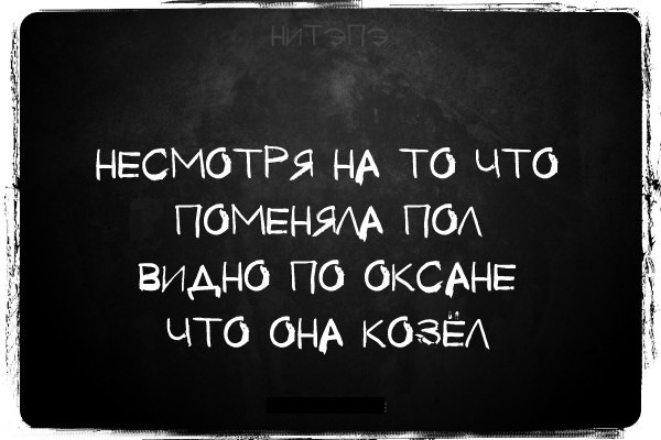 Смешные комментарии и высказывания из социальных сетей.