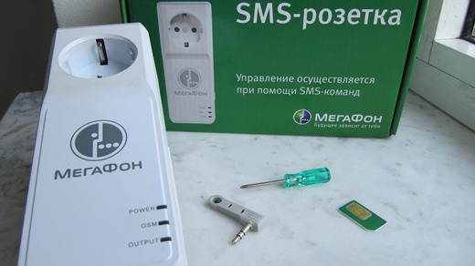 Семья живет в микродоме площадью 16 квадратных метров под Минском
