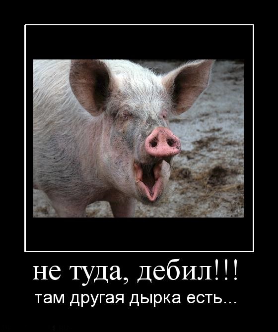 Деградировать подано