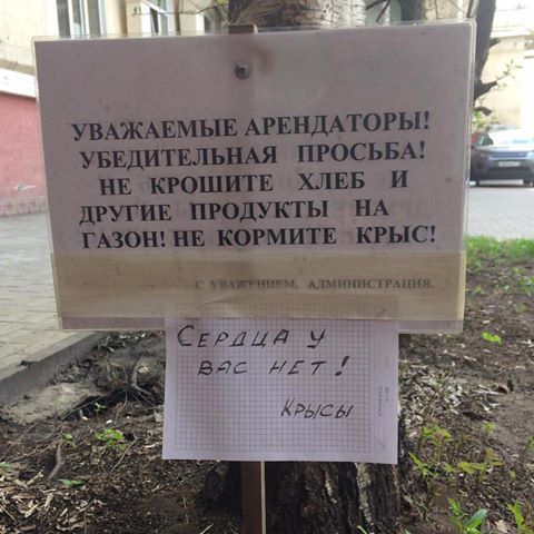 Подборка интересных и веселых картинок