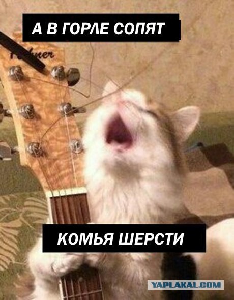 Оооо, моя оборона!