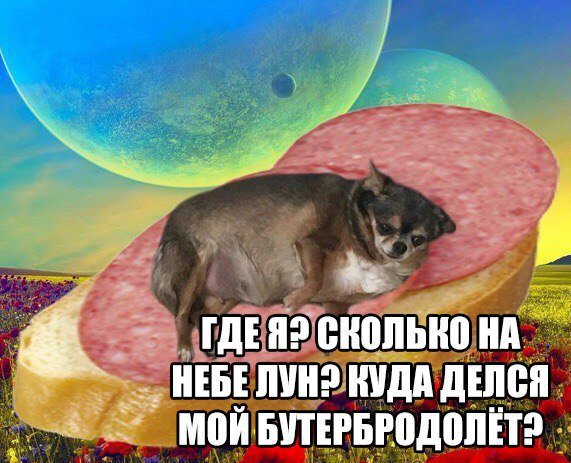Приколы в стиле "регресс"