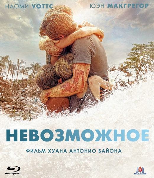 Землетрясение в Индийском океане (2004)