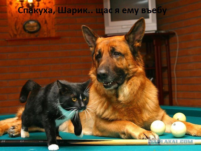 Жизнь удивительна. 30+