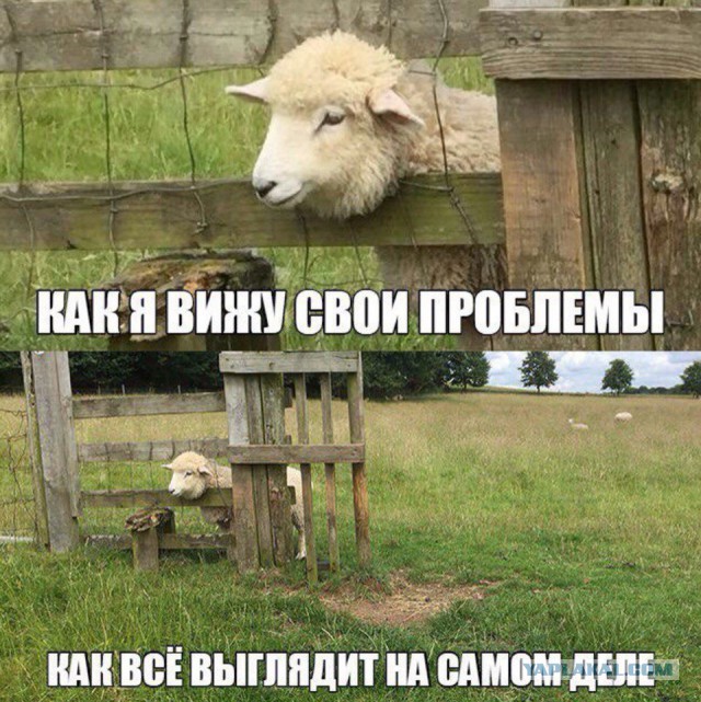 Ад и Израиль: как выглядит Иерусалим со стороны арабов