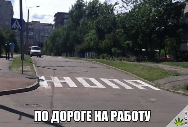Нестандартный юмор