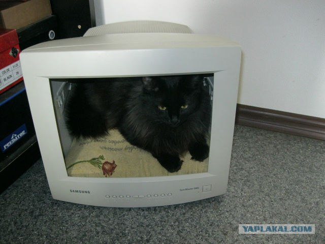 утилизация мониторов. много телевизоров. старые мониторы для компьютера. домик для кошки из монитора. монитор старый 2010 год.