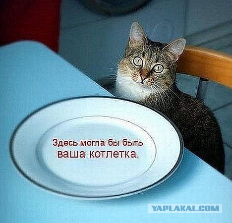 - Хозяин, сука, ты же обещал оставить...