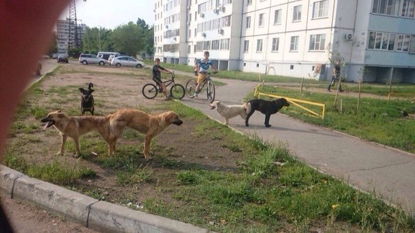 WTF: что тут происходит?