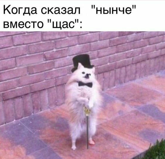 Бредзона и картинки, 2.12.2019