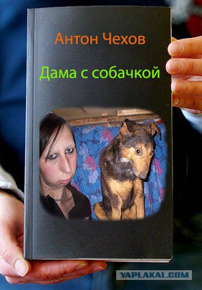 Фотожаба: Книги!