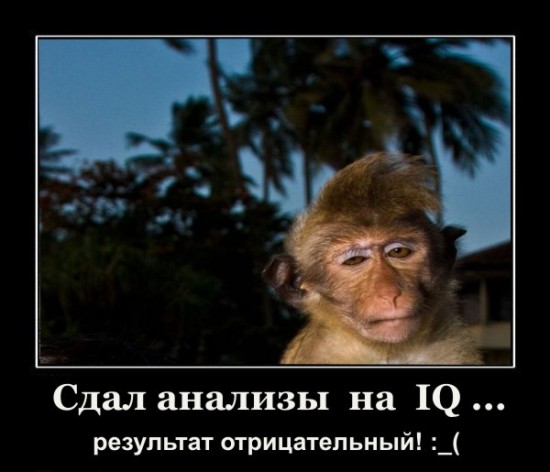 Проспал экзамен!