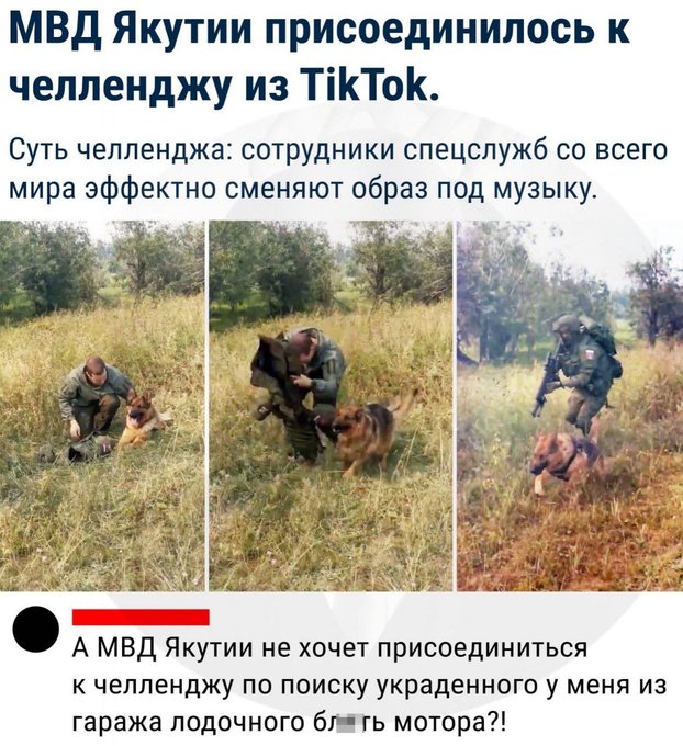 Фотки и картинки: юморные и красивые, забавные и милые 07.10.20