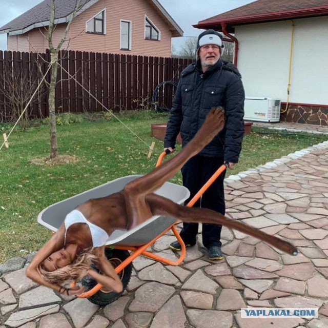 Дровишки в баню или "Гоблин" Пучков попал на фотожабу