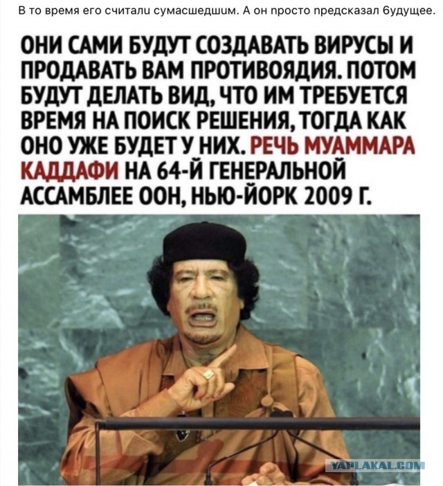 Мы в ловушке, но она пока не захлопнулась