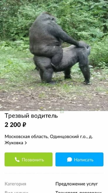 Это просто дикость какая-то