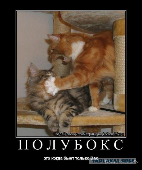 Свирепая драка диких псов