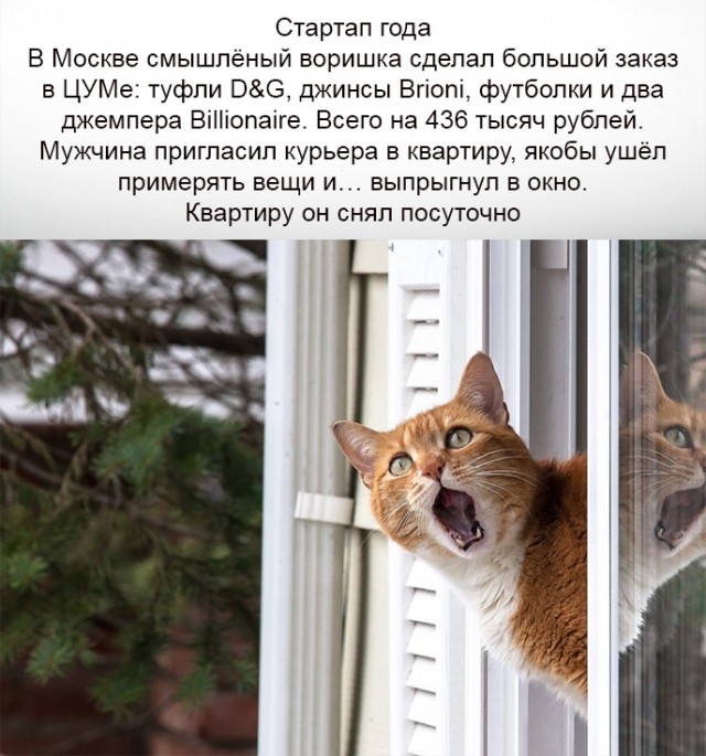 Бредзона 18.02.2021