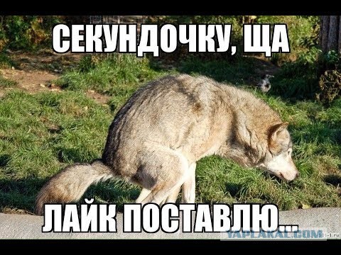 Делюсь радостью с ЯПом