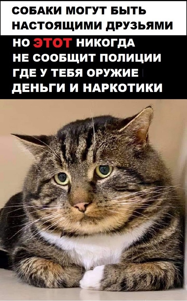 Картинки с надписями и всякие жизненные фразы