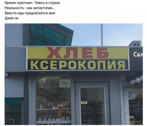 В России появятся мясо и хлеб из белка насекомых