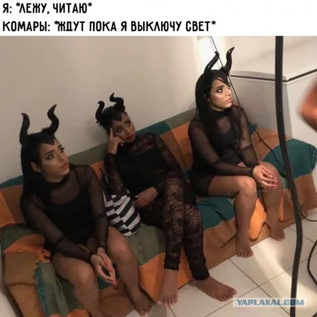 Так себе картинки 24.06.21