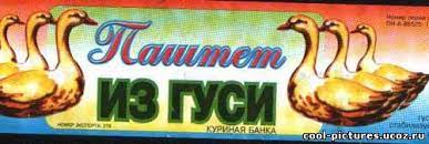 Вася и яйцо
