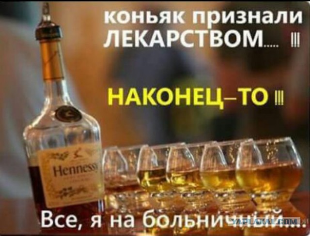 Ну что, по чарке?
