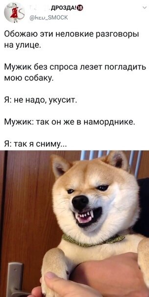 Картинки и мемы для настроения 11.08.2021