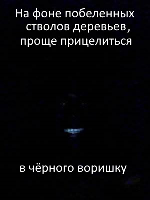 Почему в СССР белили деревья и бордюры. Военное изобретение и никакого отношения к эстетике