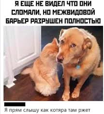 Физика, говорите не пригодится?
