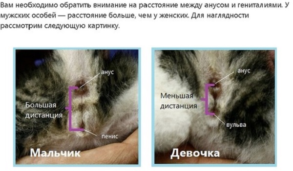 Ребята помогите понять