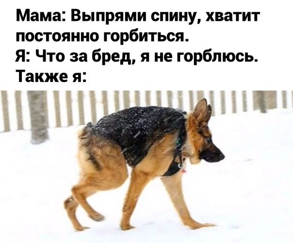 Пандемия. Коронавирус. Россия и мир. Последняя информация. Часть 27