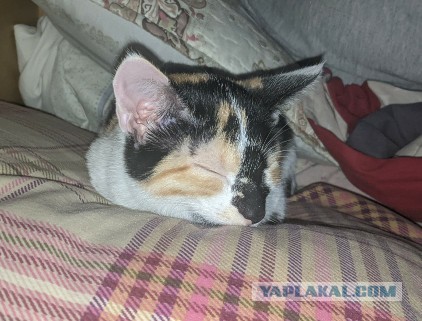 Одного фото пост