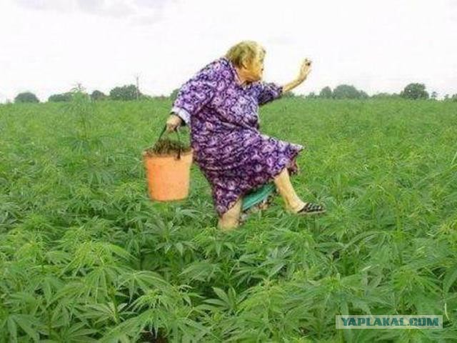 К наркологу кто крайний?