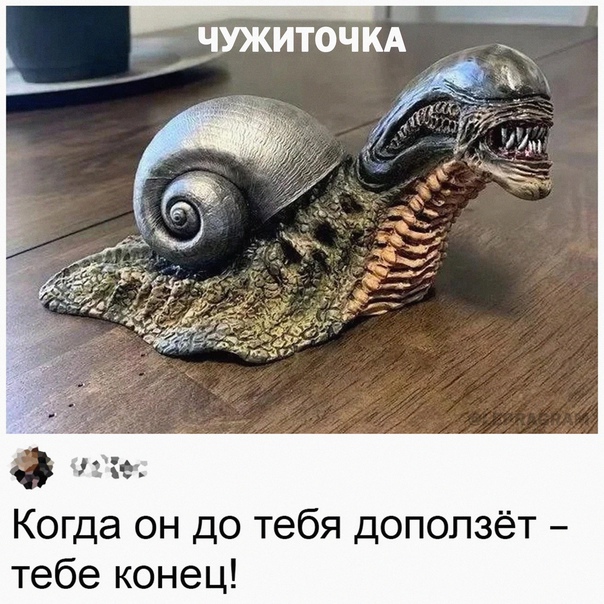 Весёлый полтишок 31.12