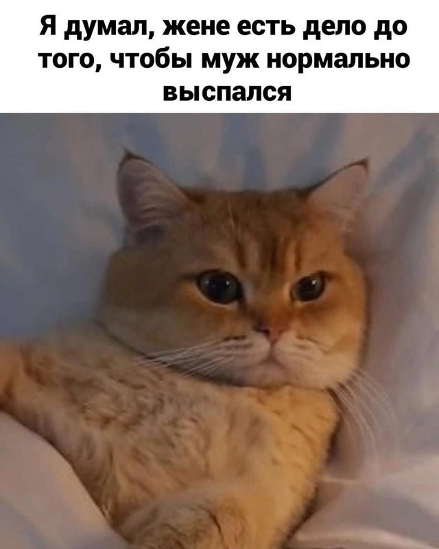 Семейное