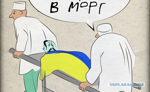 "За нами МОРГ!" Что у них в головах?!