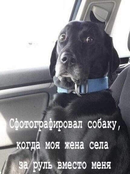 Пятничная Хня, для деградантов